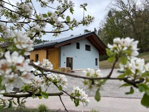 Waldhaus in Zöllnitz, Deutschland