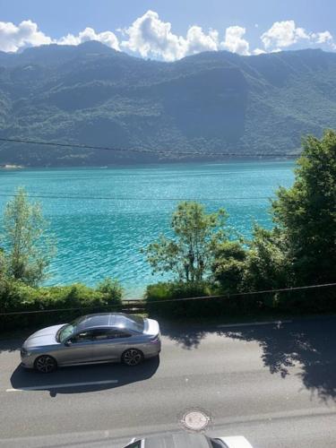 lake view chalet Doussard Annecy