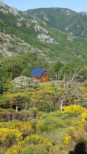 Chalet de montagne in Fraisse-sur-Agout