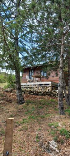 Chalet de montagne in Fraisse-sur-Agout