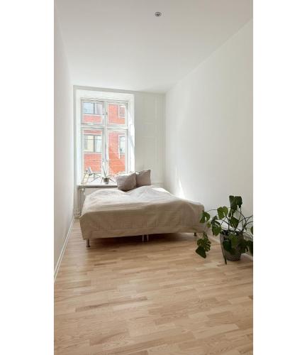 ApartmentInCopenhagen Apartment 1742 - image 8