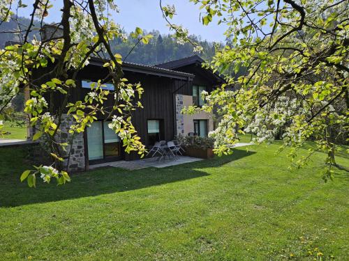 Quader nidi nel verde