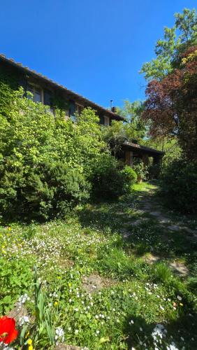  Il Giardorto in Casalini