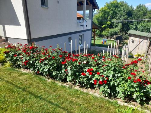 Studio apartman Goran
