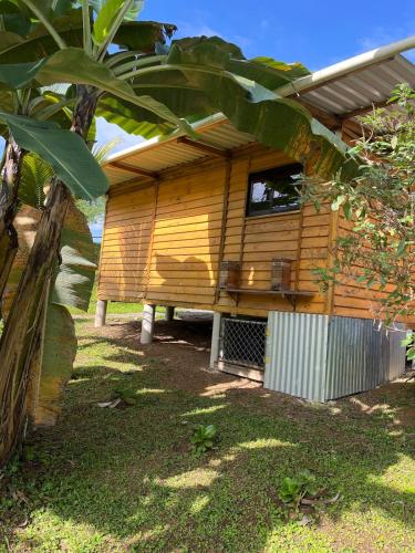 Finca Rica Organic Cacao Farm Volcano View and Pool in Bajo Tigre