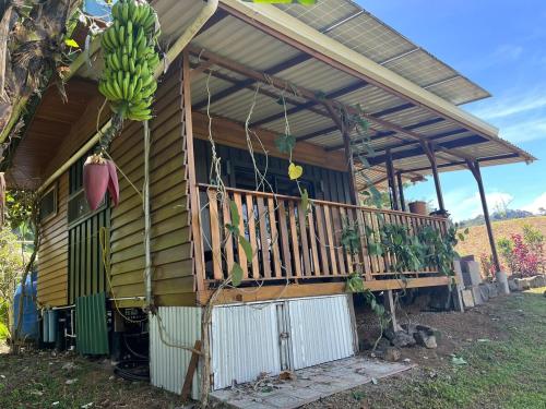 Finca Rica Organic Cacao Farm Volcano View and Pool in Bajo Tigre