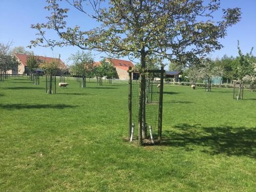 Vakantiehuis - Ter Douve gîte à louer Dranouter