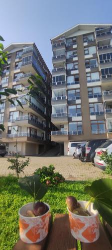 Bıyıklı House in Mersin (Trabzon)