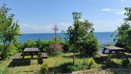 Bıyıklı House in Mersin (Trabzon)