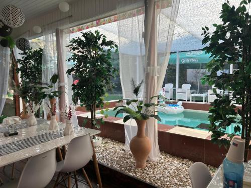 Suzana Garden in Venus