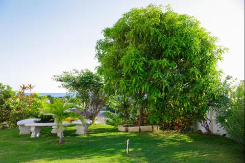 Aed, Oceanview Retreat in Bull Bay