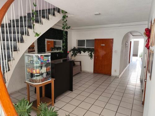 Hostal Menavi - León