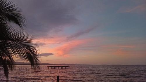 Palmeras de Miramar in Punta Laurel