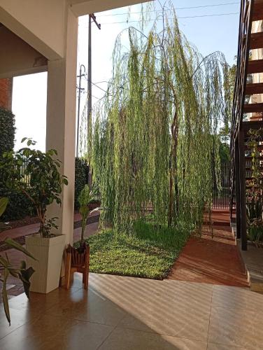 Hospedaje La Casa del Sauce in Obligado