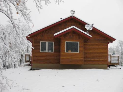 The Bear Cabin