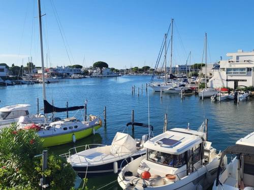 Marina rare avec clim et parking - Port Camargue - FR-1-874-33 - image 2