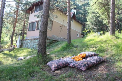  Abant Gol Evleri in Abant