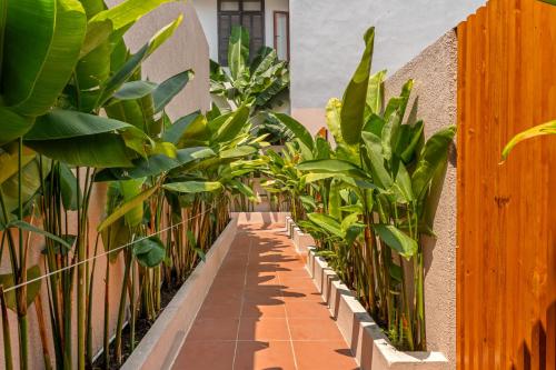 Orchids Villas Da Nang - image 2
