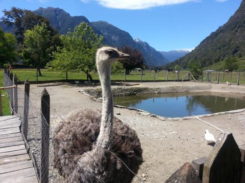 Loft y Cabañas Ensenada