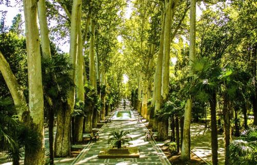 Green side in Ganja