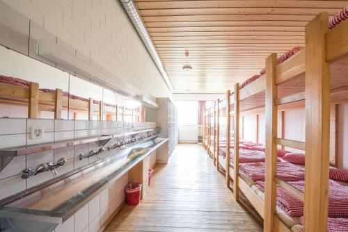 10-Bed Mixed Dormitory Room