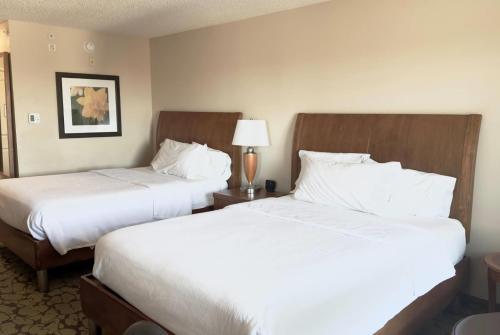 Hilton Garden Inn St. Paul Oakdale - image 22