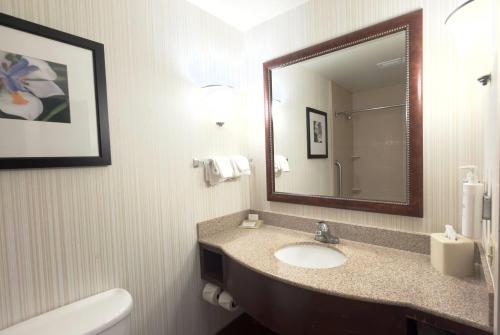 Hilton Garden Inn St. Paul Oakdale - image 32