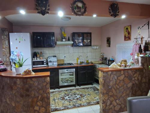 virtuve, Cabana Vanatorului in Bălnaca