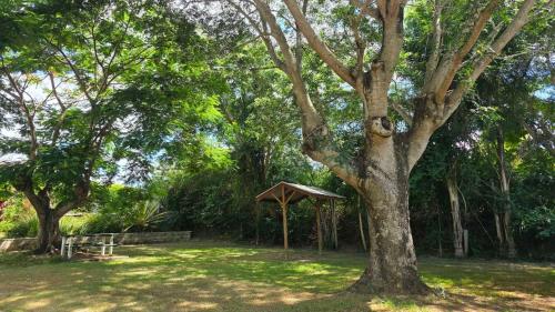 Wallace Motel And Caravan Park in มารีบอรูก