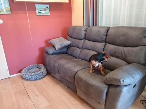 2 bedrooms, 3 beds