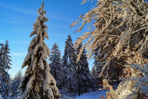 Gasthof Pension Waldfrieden