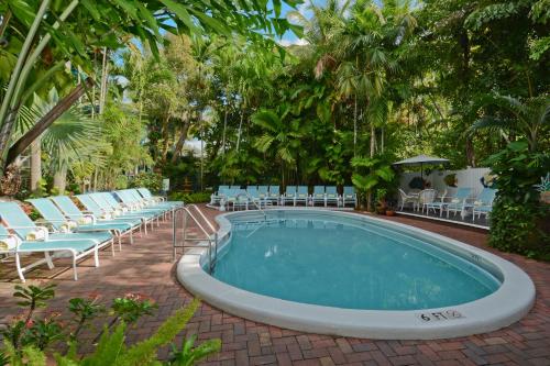 Swimming pool, Pineapple Point Guesthouse & Resort - Gay Men's Resort near Colee Hammock Park