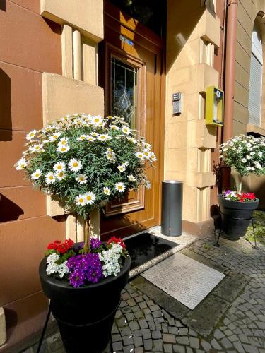 Hotel Antoni 4