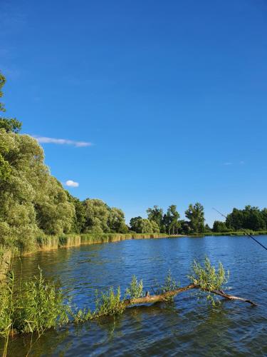 Pałuckie Chaty duży domek z balia i sauną malownicza okolica (Paluckie Chaty duzy domek z balia i sauna malownicza okolica) in Gasawa