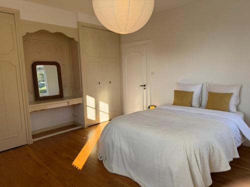 Chambre privée spacieuse (Chambre privee spacieuse) in Saint-Clair-du-Rhone (Rhone-Alpes)