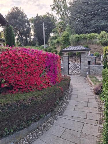 Villa Azalea 3