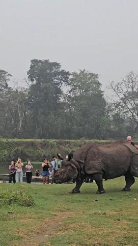 Tiger Wildlife Camp in Namarjung