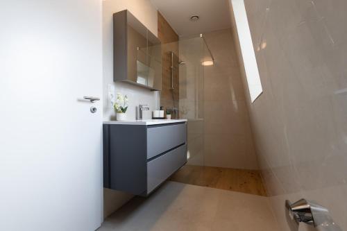 Vannituba, Beautiful apartment in Dudelange ! in Dudelange