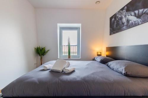 Beautiful apartment in Dudelange ! in Dudelange