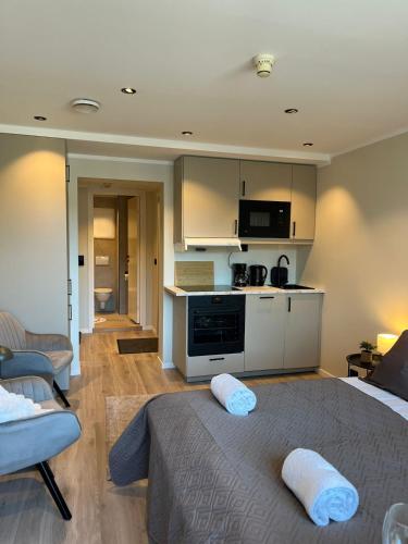 Luxury Balcony River View apt - Heart of Voss in فوس