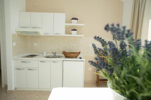 Apartments Rina 2