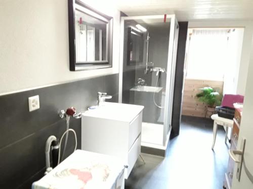 Bathroom, DesAlpes in Saxeten