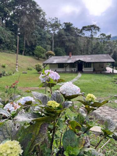 Finca Neblina del Bosque - Cerca a Dapa in Dapa