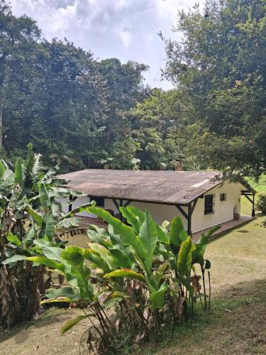 Finca Neblina del Bosque - Cerca a Dapa in Dapa