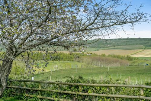 Faciliteter, 2 Bed in Newchurch oc-ic127 in Arreton and Newchurch