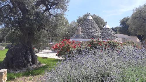 Ostuni Trullo di Charme with pool