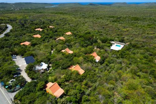 Studio Tropical Paradise - The green flamingo in Willibrordus