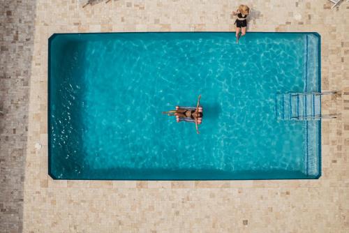 Piscină, Studio Tropical Paradise - The green flamingo in Willibrordus