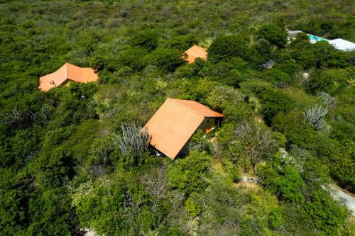 Voltants, One Bedroom Tropical Escape - The green flamingo in Willibrordus