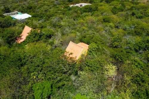 Alrededores, two bedroom Tropical Hideaway - The green flamingo in Willibrordus